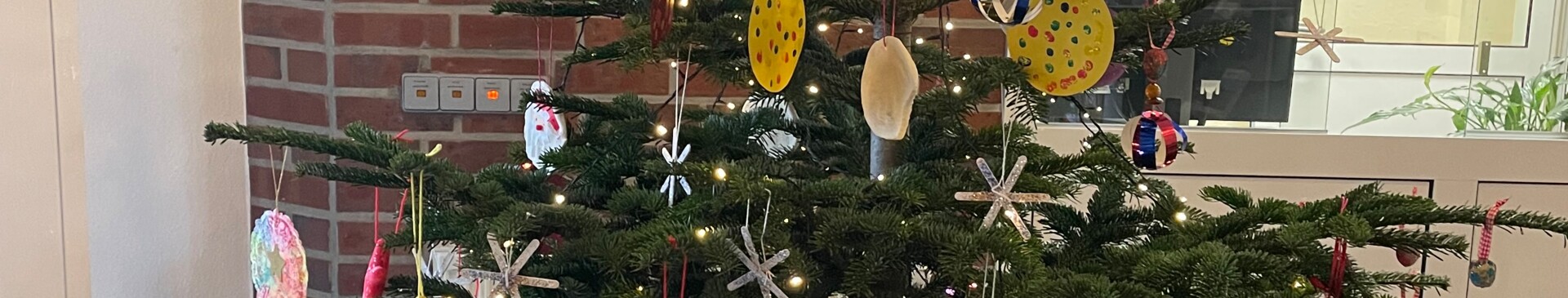 Weihnachtsbaum St Bernadette 2024