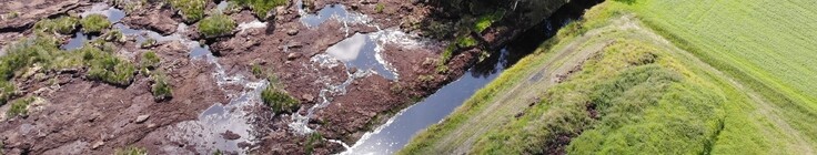 Meerkolk Sommer 2024 Bruchstelle im Naturschutzgebiet Bildrechte Staatl Moorverwaltung ArL Weser Ems