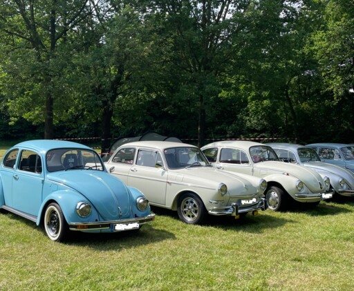 Käfertreffen am Speichersee in Geeste 2024 - Gemeinde Geeste